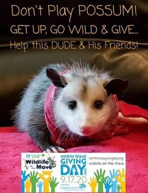 GET UP, GO WILD, & GIVE to Help Dude & Friends!
