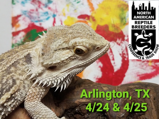 North American Reptile Breeders Conference (NARBC) - Wildlife On The