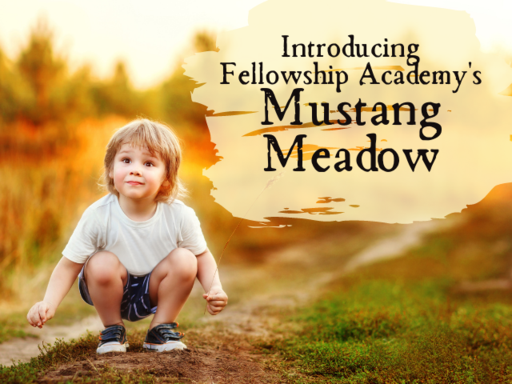 Introducing Mustang Meadow at Fellowship Academy.p